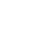 Blue Bird for sale in Portland and Augusta, ME